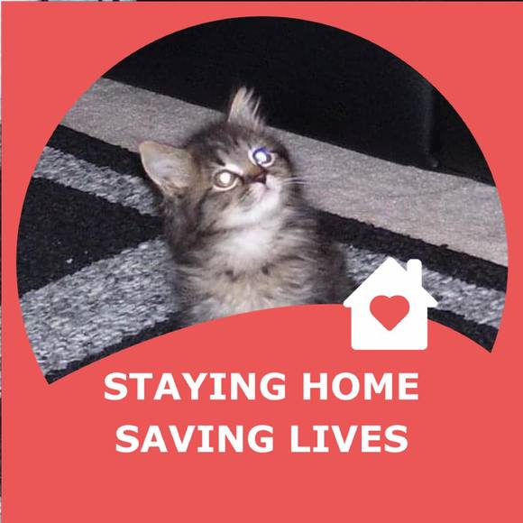 Meet your Posher, Helen - Picture 1 of 1